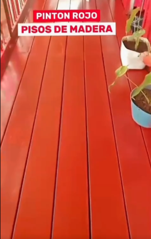 Cera Plástica Pintón - Devuelve el color a tu piso