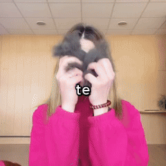 CEPILLO REMOVEDOR PELUSA DE MASCOTAS