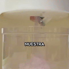 COOLMIX-MAQUINA DE RASPADOS Y GRANIZADOS